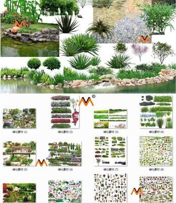 园林景观绿化设计常用树木花草植物乔木鸟瞰图效果图PS PSD源素材