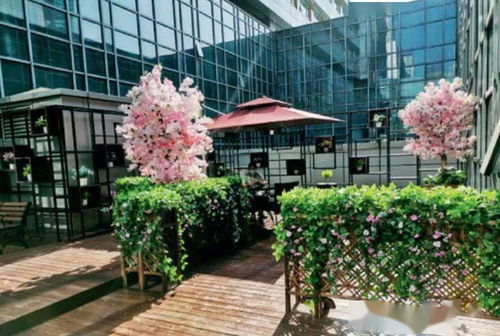 医院园林绿化景观如何设计 看华中科技大学同济医学院附属同济医院中法新城院区案例