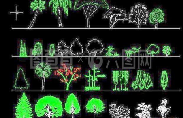 园林立面植物图例